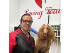 Experienced and Reliable Pet Sitter in Miami, FL,Veterinary zoo technician ,Your