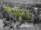 Lot 97-1 Des Pins, Saint-Charles, NB, E4W 4M1 - vacant land for sale Listing ID