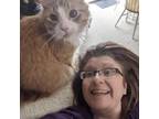Dedicated and loving Pet Sitter in Vadnais Heights, MN - Trustworthy Care at