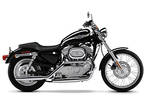 2003 Harley-Davidson XL 883C Sportster® Custom