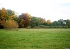 Plot For Sale In Tyrone Township, Michigan