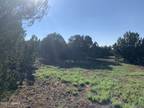 Plot For Sale In Vernon, Arizona