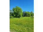 4957 E VALLEY RD, MT PLEASANT, MI 48858 Vacant Land For Sale MLS# 1923204