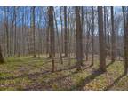 Plot For Sale In Stuart, Virginia