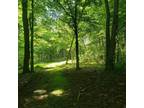 Plot For Sale In Mount Perry, Ohio