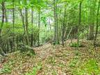 Plot For Sale In Floyd, Virginia