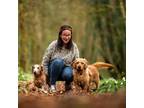 Experienced Pet Sitter in Vancouver, BC - Affordable, Reliable, and Loving Care