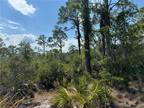 Plot For Sale In Lake Placid, Florida