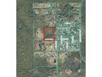 Plot For Sale In Silver Springs, Florida