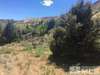 Plot For Sale In Virginia City, Nevada