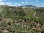 Plot For Sale In Placerville, Colorado