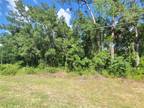 Plot For Sale In Webster, Florida