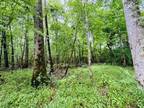Plot For Sale In Bogue Chitto, Mississippi