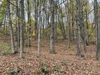 Plot For Sale In Colesville, New York