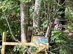 Foreclosure Property: Eller Hollow Rd