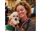 Experienced Pet Sitter in Davenport, FL $20 Daily - Trustworthy & Reliable Care