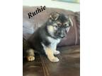 Adopt Ruthie a German Shepherd Dog