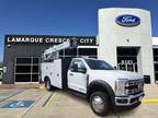 2024 Ford F-550 White, 359 miles