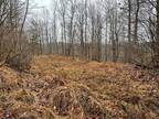 Plot For Sale In Alma, West Virginia