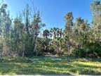 Plot For Sale In Port Charlotte, Florida