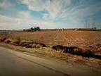 18771 MCKINLEY AVE, MANTECA, CA 95337 Vacant Land For Sale MLS# 224043452