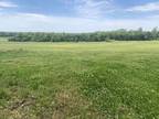 000 Tbd Lazy Acres Road, Protem, MO 65733 643554254