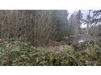 Plot For Sale In Longbranch, Washington