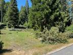 Plot For Sale In Shaver Lake, California