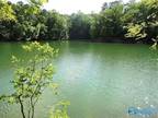 2.6 Acres Blue Bird Lane, Double Springs, AL 35553 645728145