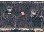 Plot For Sale In Hawthorne, Florida