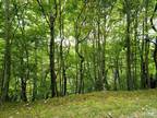 105 SASSAFRASS RD, BEECH MOUNTAIN, NC 28604 Vacant Land For Sale MLS# 4072129