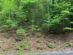 116 Green Hollow Ln, Brevard, NC 28712 MLS# 4140868