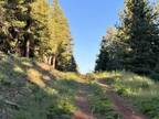 N. California Land.91 acres for Rent