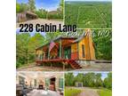 228 Cabin Lane, Kissee Mills, MO 65680 MLS# 60269390