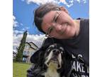 Experienced and Reliable Pet Sitter in Calgary, Alberta - $40 Daily