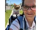 Experienced Watertown, South Dakota Pet Sitter Offering Quality Care at $50