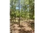 Plot For Sale In Currie, North Carolina