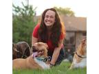 Experienced Pet & House Sitter in AZ, IL, FL, CA (USA + open to Int’l)
