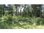 Plot For Sale In Nekoosa, Wisconsin