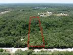 Plot For Sale In Interlachen, Florida