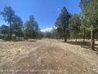 l OT 5 DEER PARK DRIVE, ALTO, NM 88312 Vacant Land For Sale MLS# 131138