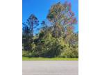 Plot For Sale In Palm Coast, Florida