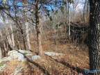 Plot For Sale In Mentone, Alabama