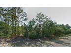 Plot For Sale In Dunnellon, Florida