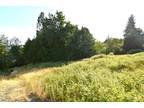 Plot For Sale In Longview, Washington