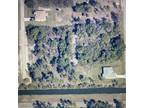 Plot For Sale In Lehigh Acres, Florida