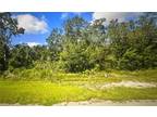 Plot For Sale In Myakka City, Florida