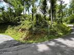 Plot For Sale In Gatlinburg, Tennessee