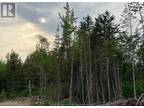 24-01 Chultun Crt, Lower Coverdale, NB, E1J 1E5 - vacant land for sale Listing