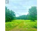 Lot Lakeland Rd, Collette, NB, E4Y 1J3 - vacant land for sale Listing ID M159335